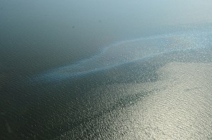 main-2-300x199 Frade Oil Spill