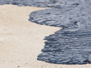 shutterstock_80812237