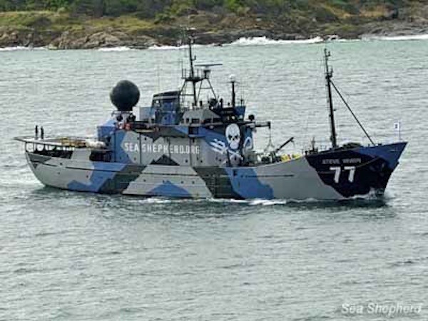 news_121105_3_1_Steve_Irwin_departure_2_2_DSC3174